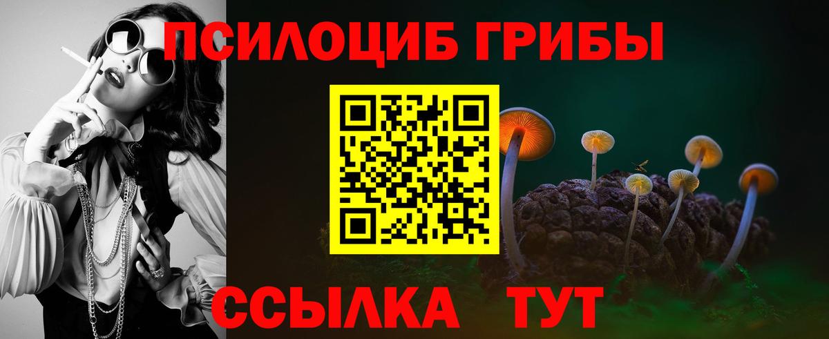 Лосино-Петровский  Галлюциногенные грибы мухоморы  Вход с VPN 